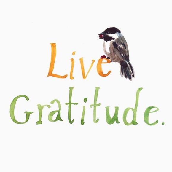 Meet your Posher, Jen - Picture 4 of 5